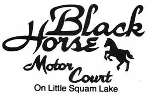 black horse logo wide