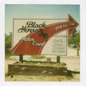 The old Black Horse Sign