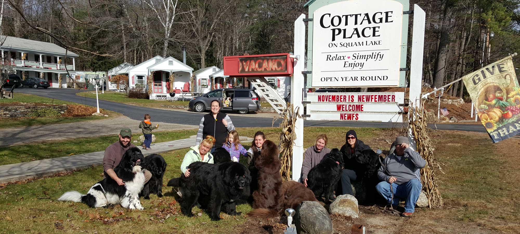 Newfies-at-the-sign